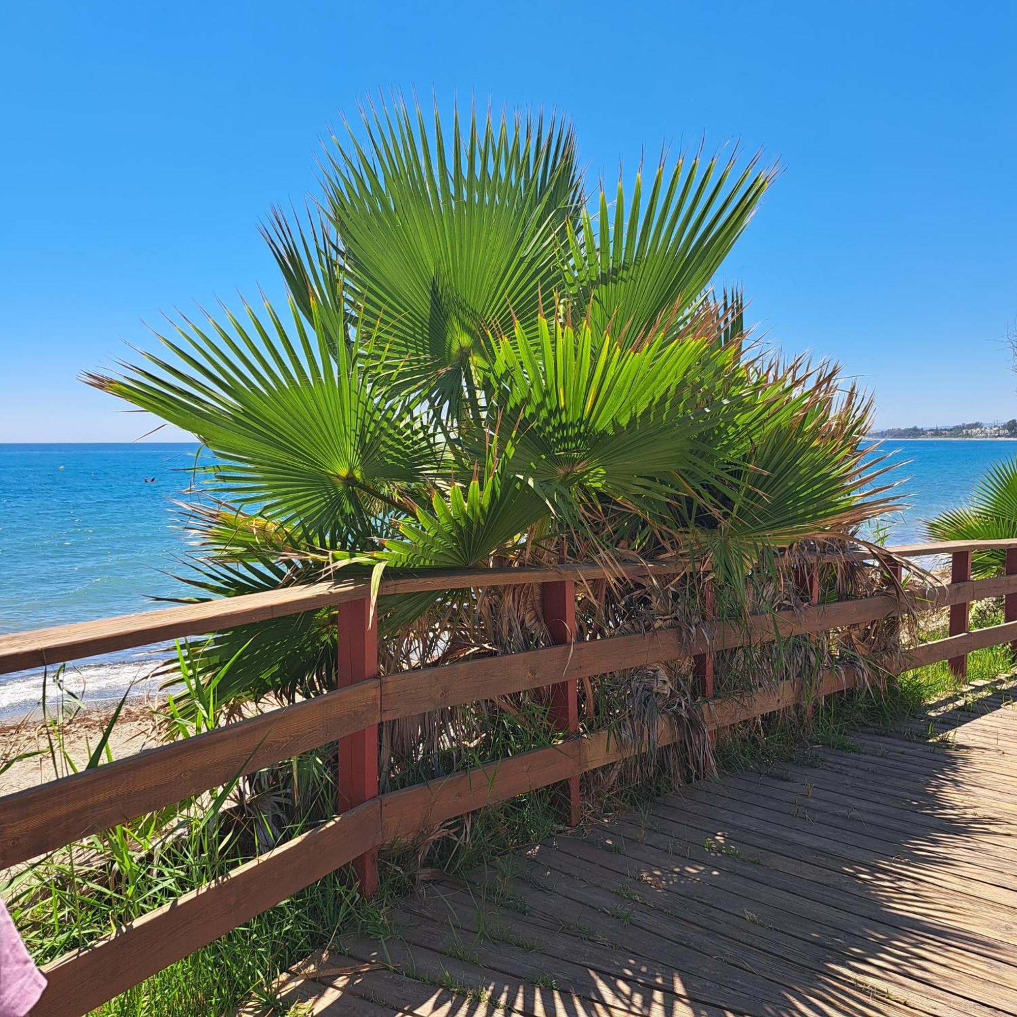 Apartamento Hello Cosmo Estepona Exterior foto